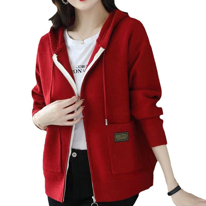 Stylish cozy hooded sweater perfect for cooler weather, blending comfort and elegant design seamlessly